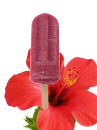 Hibiscus paleta